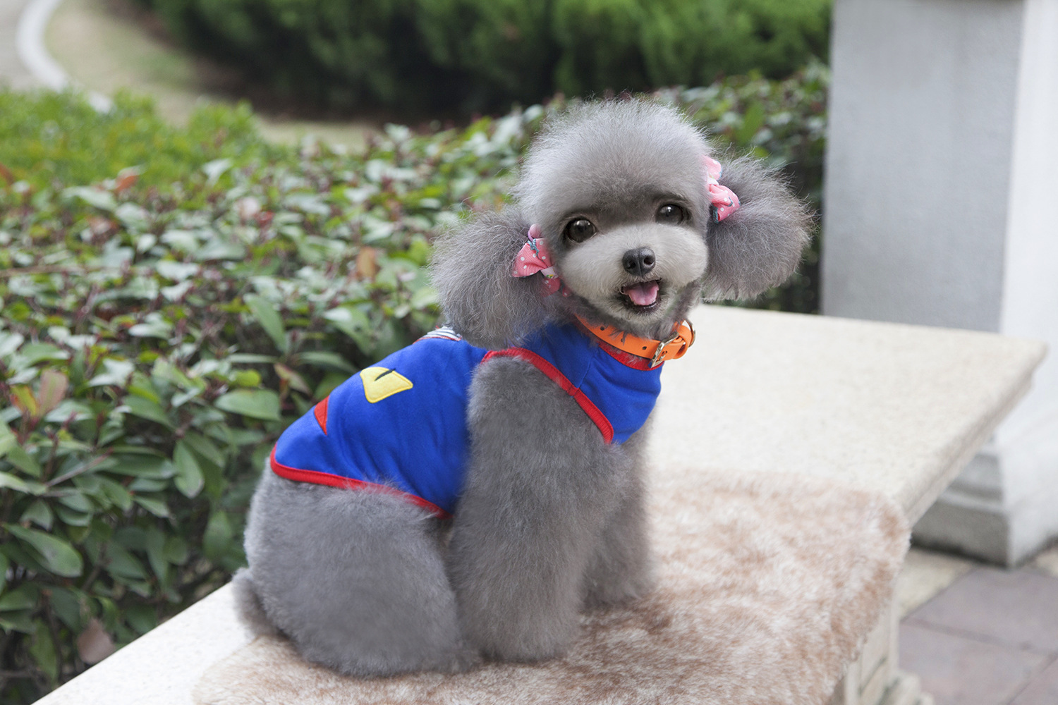 NEW DOG FASHION Character pike Dog clothes Dog clo