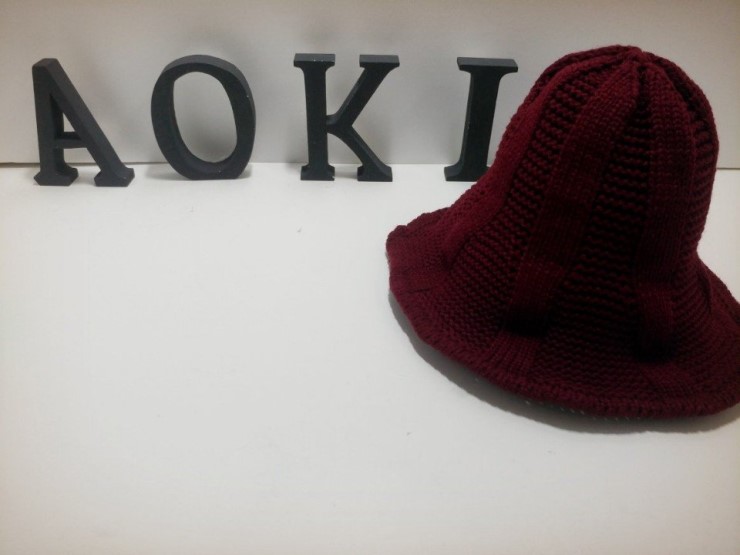 Fashion knit wire hat warm hair casual beanie norm