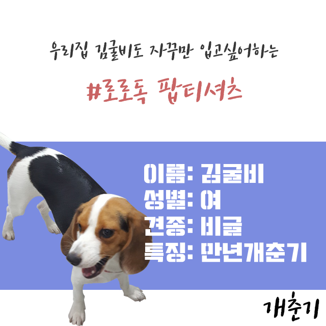 NEW DOG FASHION Lolo Dog Puppy Clothes Sprite Pop 