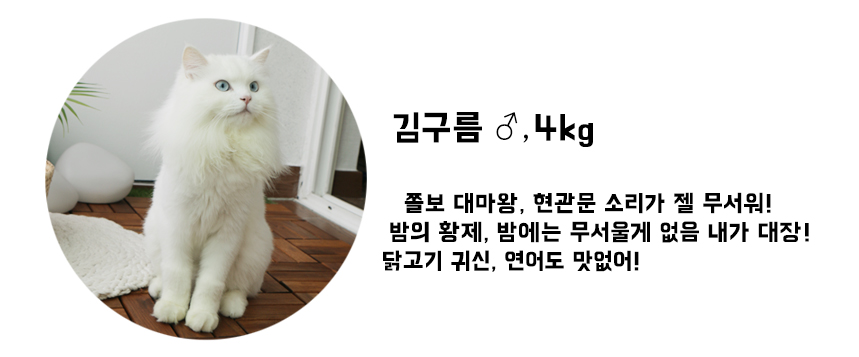 NEW DOG FASHION Cute cat scarf cap double cat pet