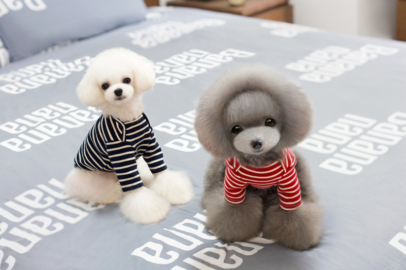 NEW DOG FASHION Autumn striped dog clothes T-shirt