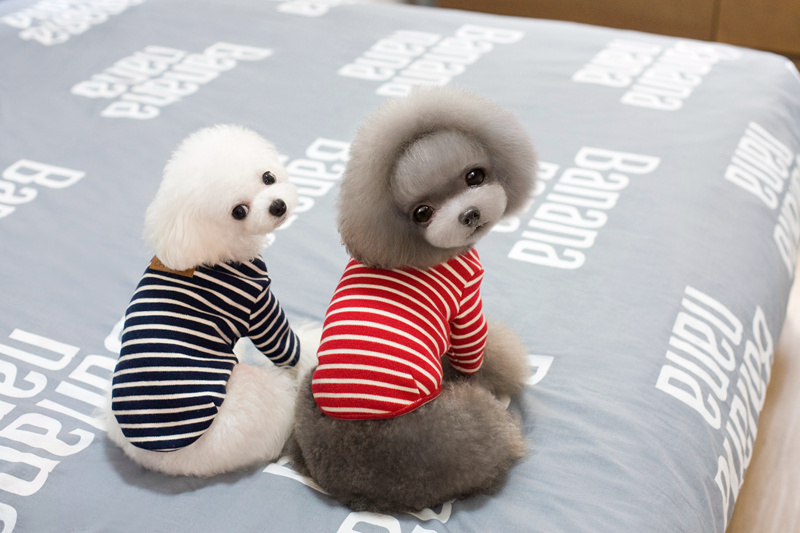 NEW DOG FASHION Autumn striped dog clothes T-shirt