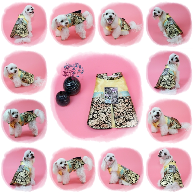 NEW DOG FASHION Puppy Clothes Hanbok Handmade Pepe