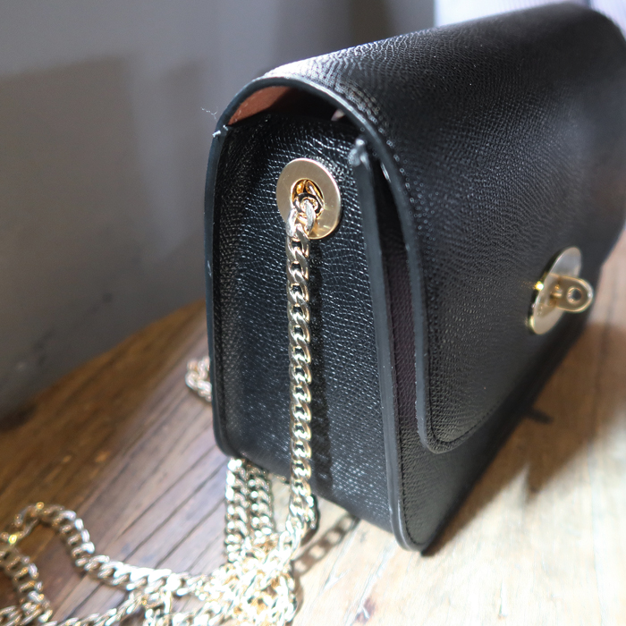 New Gold Chain Mini Bag