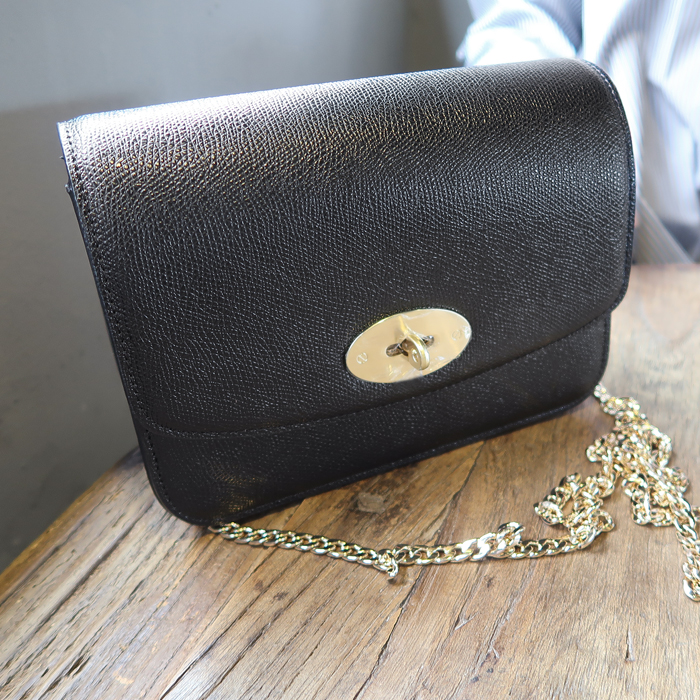 New Gold Chain Mini Bag