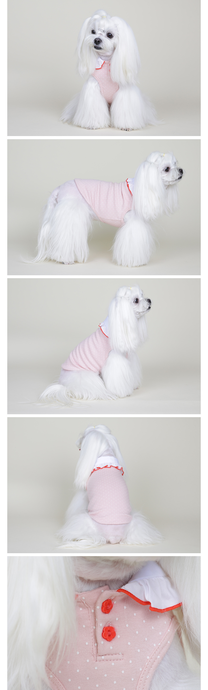NEW DOG FASHION Pretty dog ​​clothes Winky New Yor