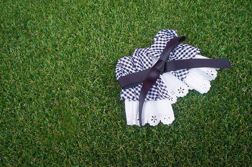 NEW DOG FASHION Check Cape Puppy Scarf Necklace Ne