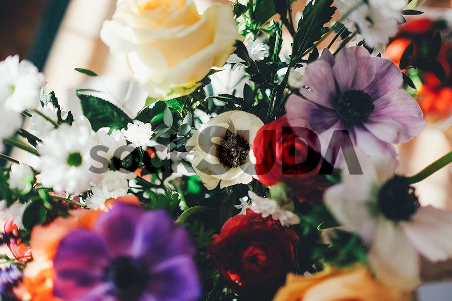 Arthritis Cushion Slippers Comfortable Quilted Cot