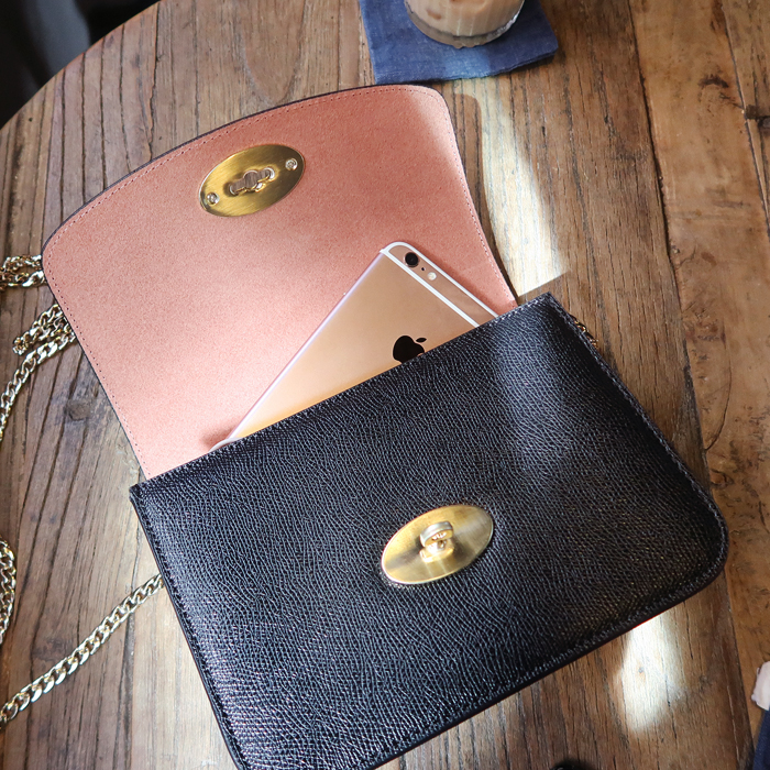 New Gold Chain Mini Bag