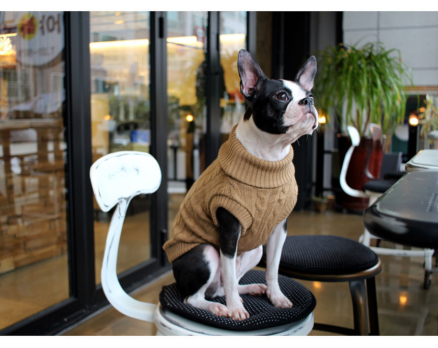 NEW DOG FASHION DOG DOG PUPPET NECK T-SHIRT Unusua