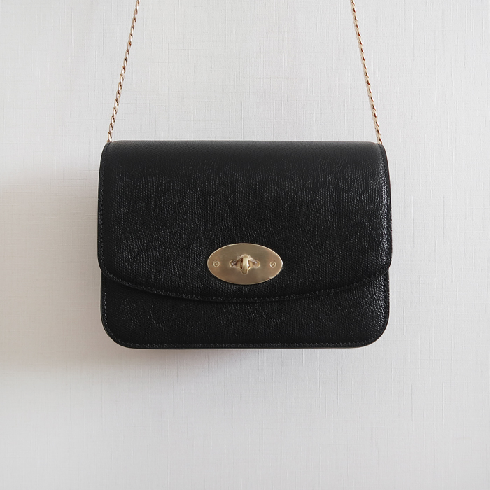New Gold Chain Mini Bag