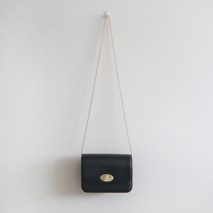 New Gold Chain Mini Bag