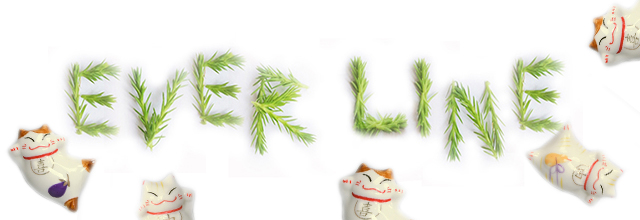 Embo Mini Pin Pin Hairpin 2 Set 1 9 Color CUTY Cut