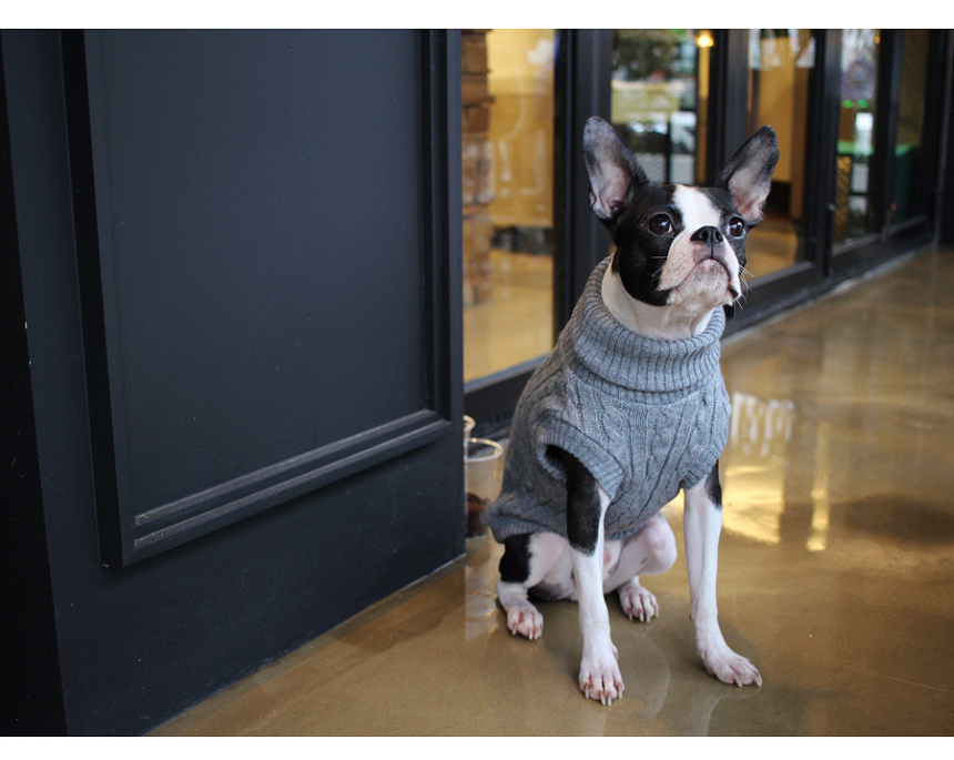 NEW DOG FASHION DOG DOG PUPPET NECK T-SHIRT Unusua