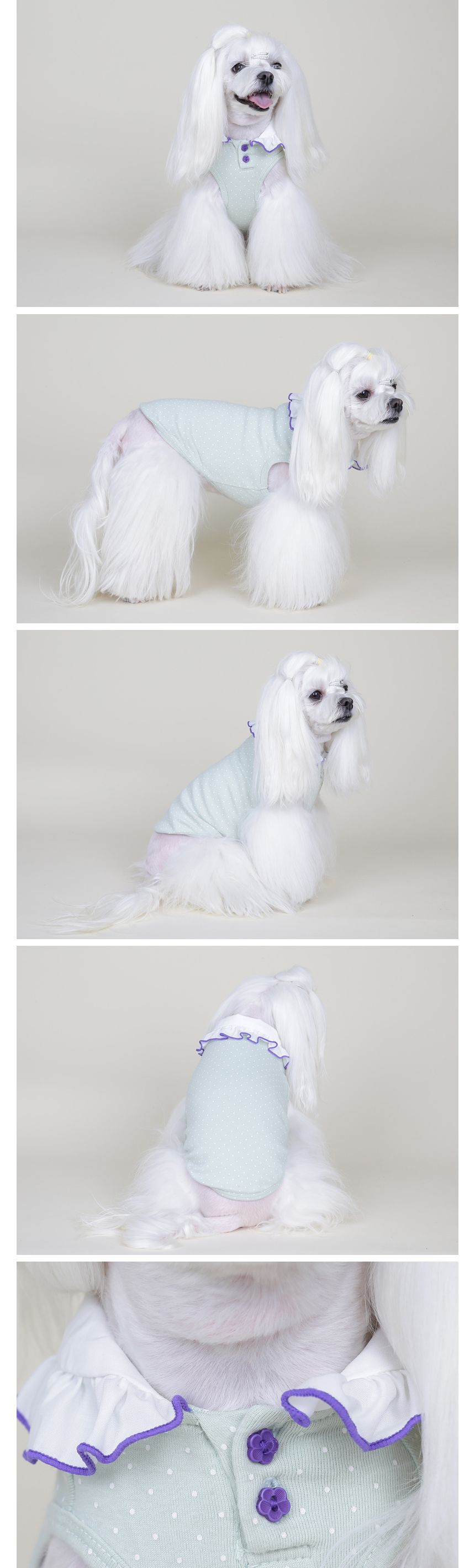 NEW DOG FASHION Pretty dog ​​clothes Winky New Yor