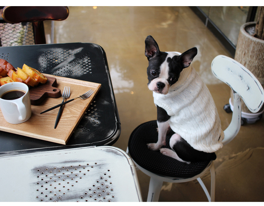 NEW DOG FASHION DOG DOG PUPPET NECK T-SHIRT Unusua