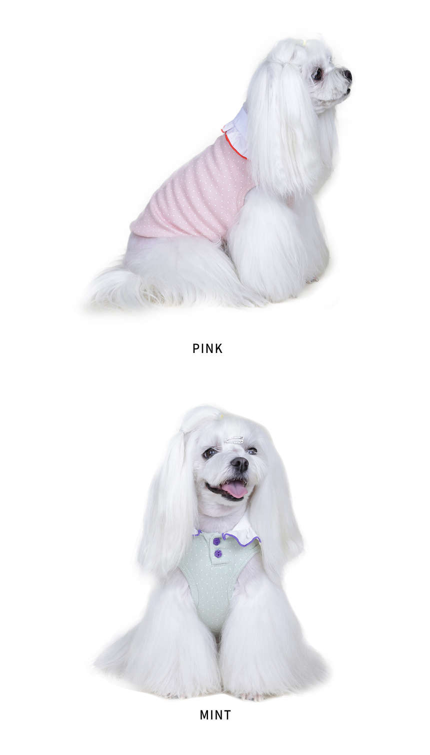 NEW DOG FASHION Pretty dog ​​clothes Winky New Yor