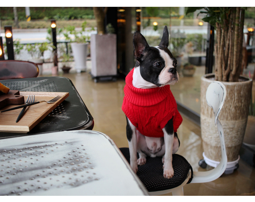 NEW DOG FASHION DOG DOG PUPPET NECK T-SHIRT Unusua