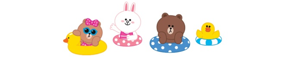 NEW TRAVEL STORAGE ORGANISER LINE FRIENDS