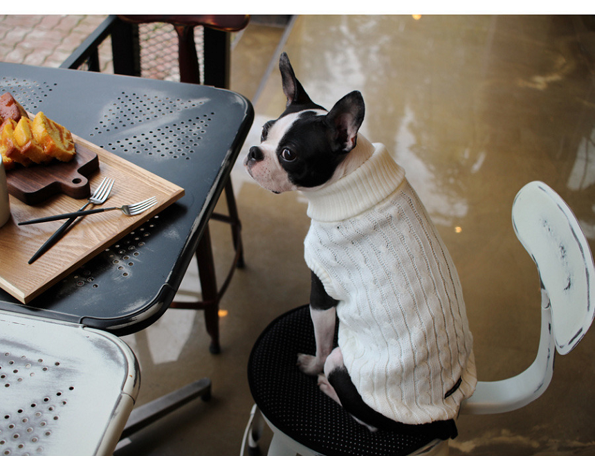 NEW DOG FASHION DOG DOG PUPPET NECK T-SHIRT Unusua