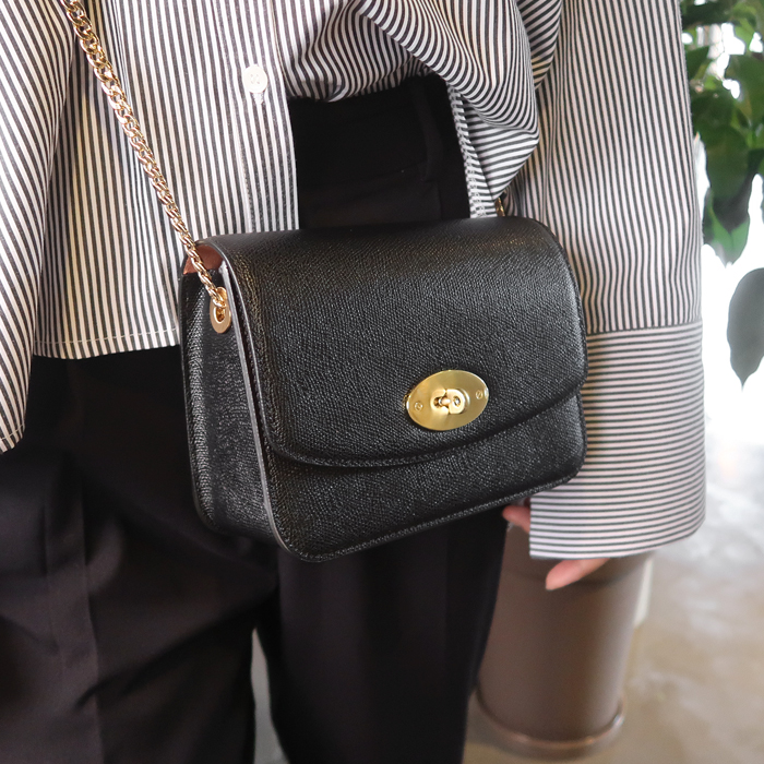 New Gold Chain Mini Bag