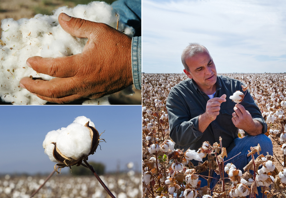 Blue Blue napkin Organic cotton cover Safe eco-fri