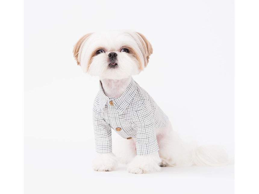 NEW DOG FASHION Pretty dog ​​clothes sniff winter 