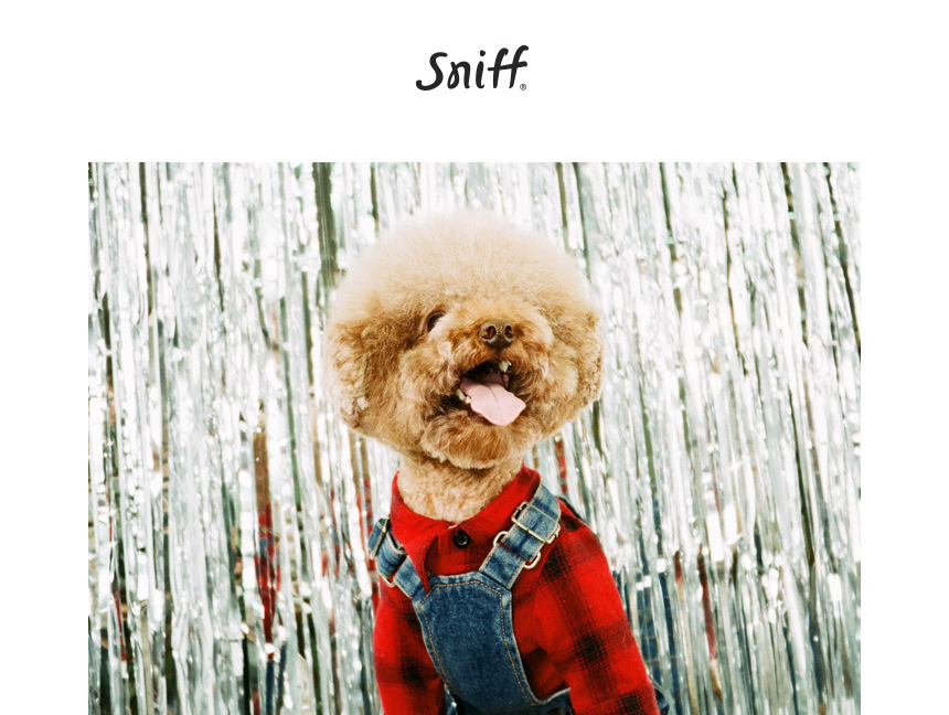 NEW DOG FASHION Pretty dog ​​clothes sniff winter 