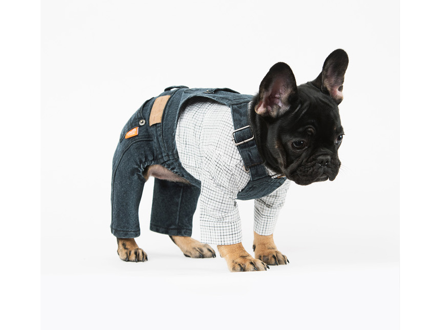 NEW DOG FASHION Pretty dog ​​clothes sniff winter 