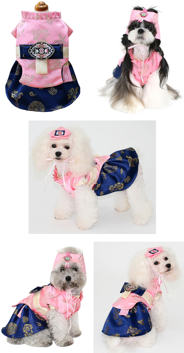 NEW DOG FASHION Puppy-chan Dog Korean Costume Auro