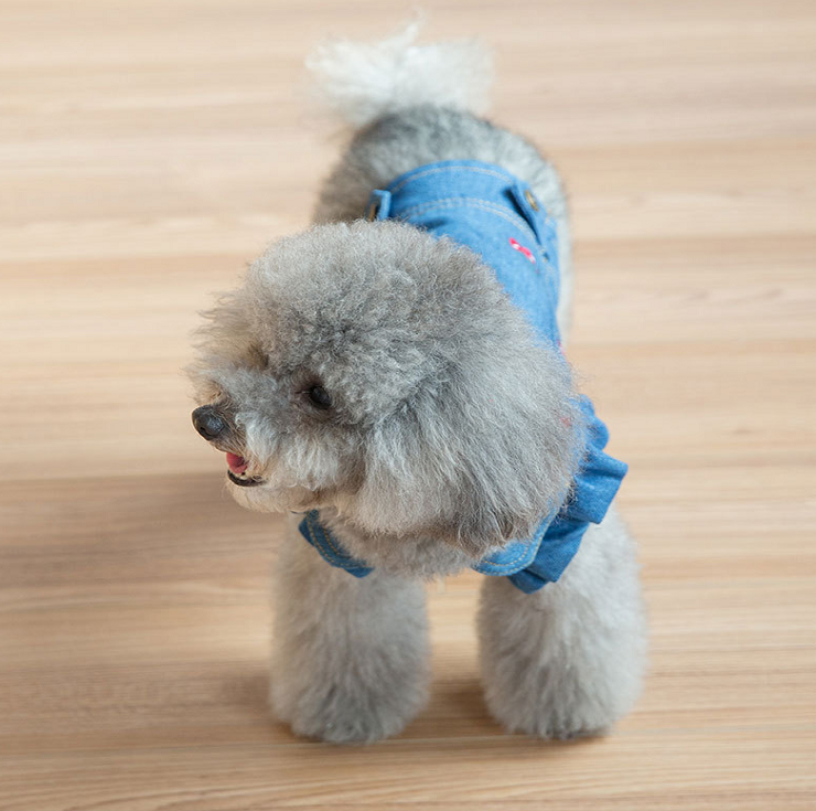 NEW DOG FASHION cute dog clothes cute cherry denim