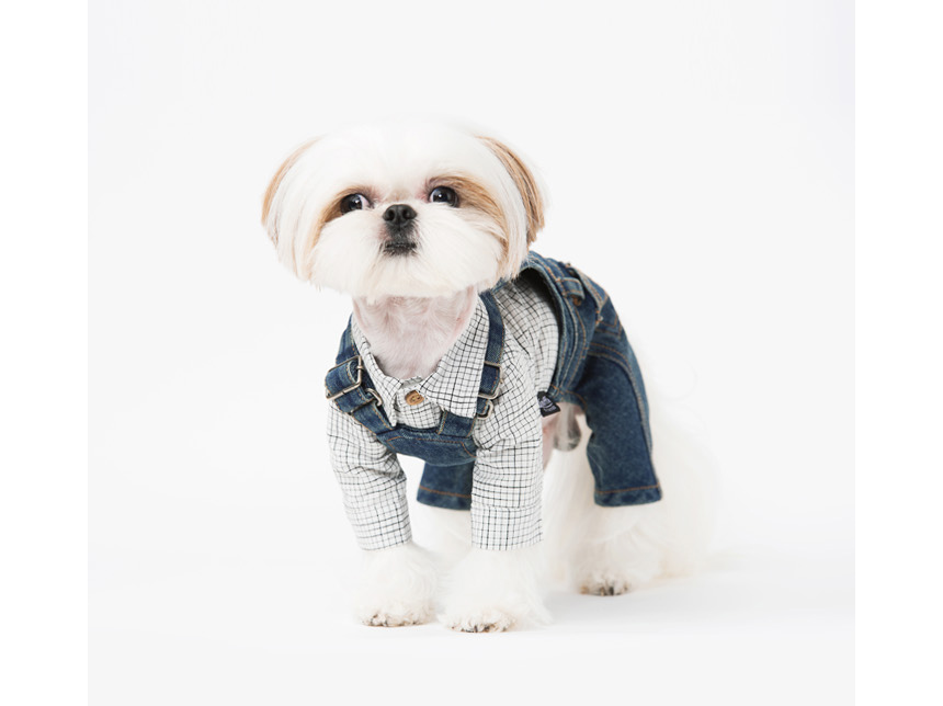NEW DOG FASHION Pretty dog ​​clothes sniff winter 