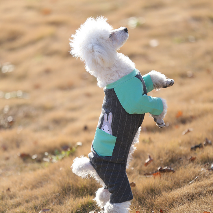 NEW DOG FASHION Baskets Rabbit Striped All-in-One