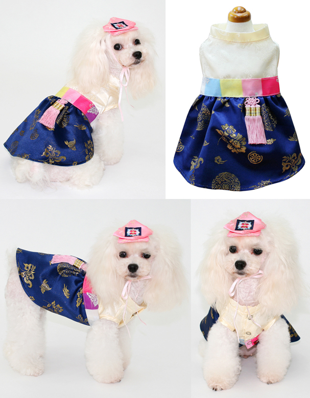 NEW DOG FASHION Puppy-chan Dog Korean Costume Auro
