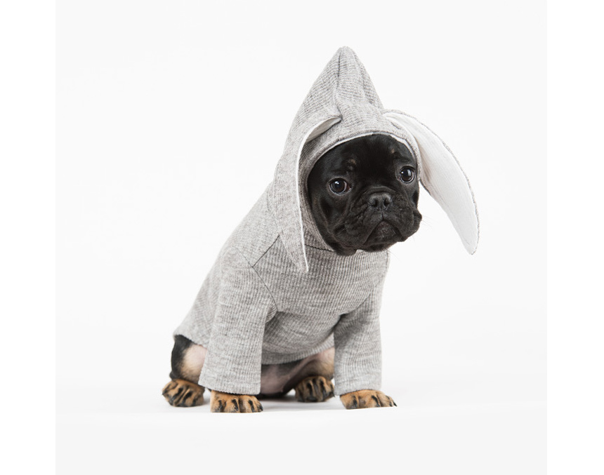 NEW DOG FASHION Unusual Dog Clothes Sniff Dog Clot