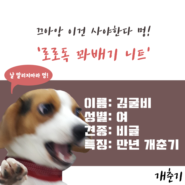 NEW DOG FASHION DOG DOG PUPPET NECK T-SHIRT Unusua