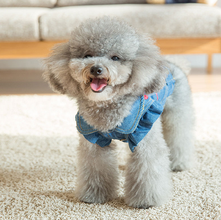 NEW DOG FASHION cute dog clothes cute cherry denim