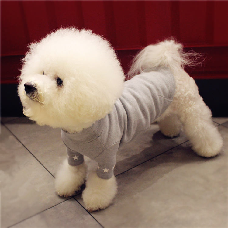 NEW DOG FASHION dog clothes sniff star shape all-i