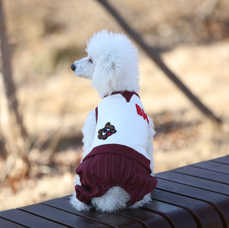 NEW DOG FASHION dog clothes sniff star shape all-i