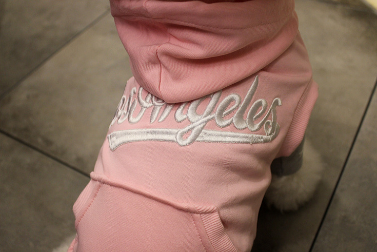 NEW DOG FASHION dog clothes sniff star shape all-i