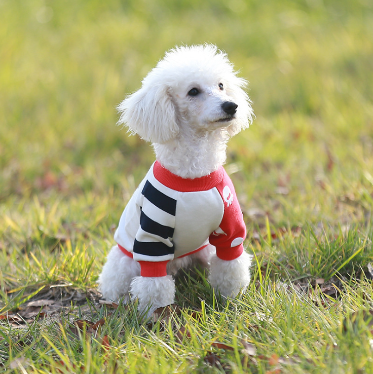 NEW DOG FASHION dog clothes sniff star shape all-i