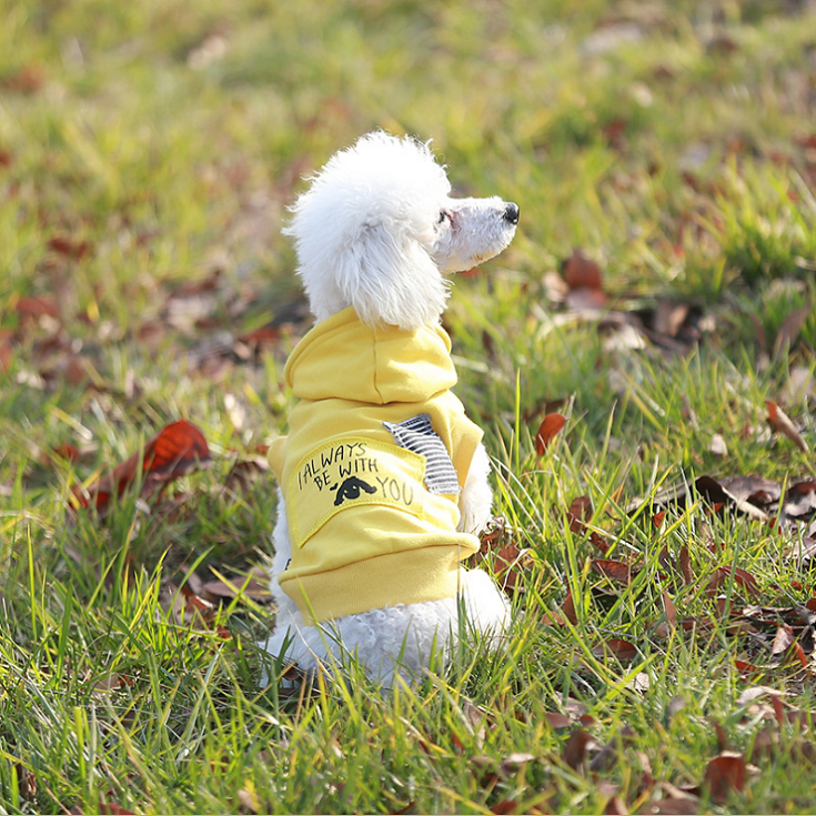 NEW DOG FASHION dog clothes sniff star shape all-i