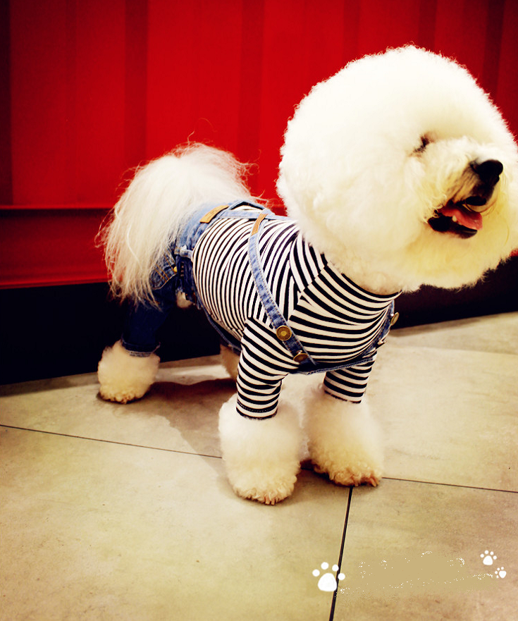 NEW DOG FASHION dog clothes sniff star shape all-i