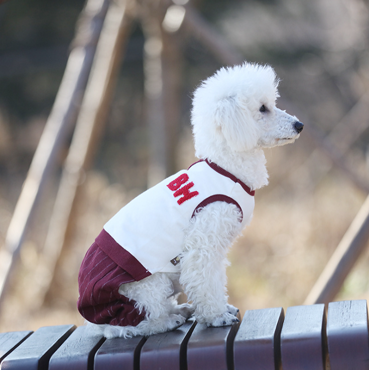 NEW DOG FASHION dog clothes sniff star shape all-i