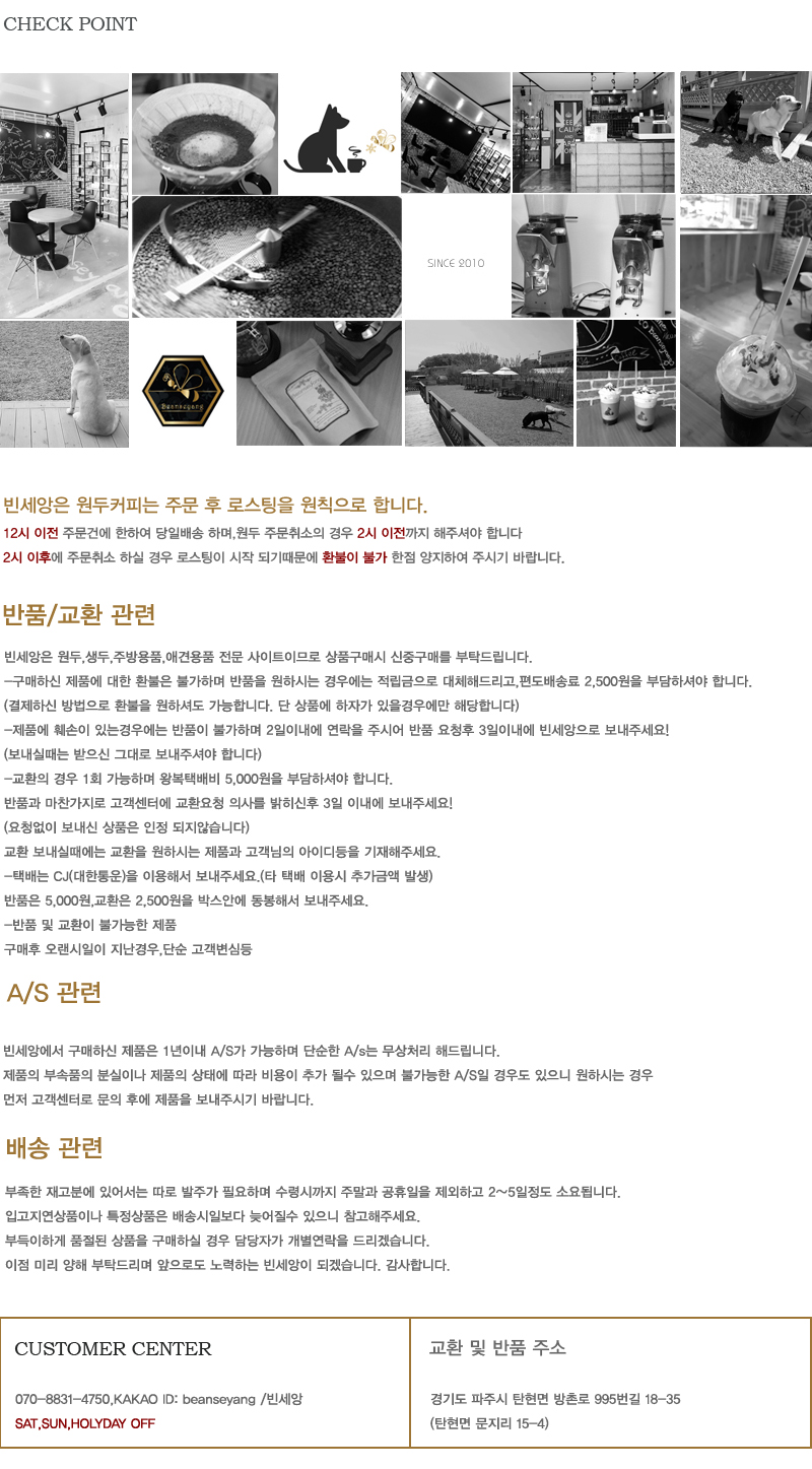 Premium pumpkin tea 600ml Well-being glass in the 