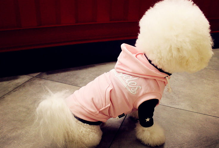 NEW DOG FASHION dog clothes sniff star shape all-i