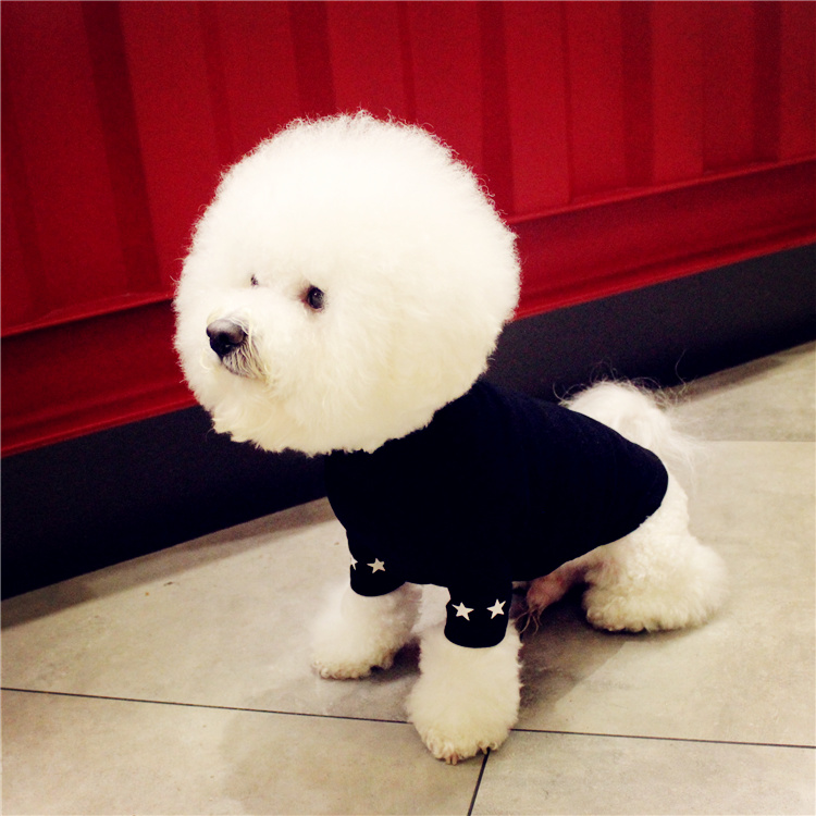 NEW DOG FASHION dog clothes sniff star shape all-i