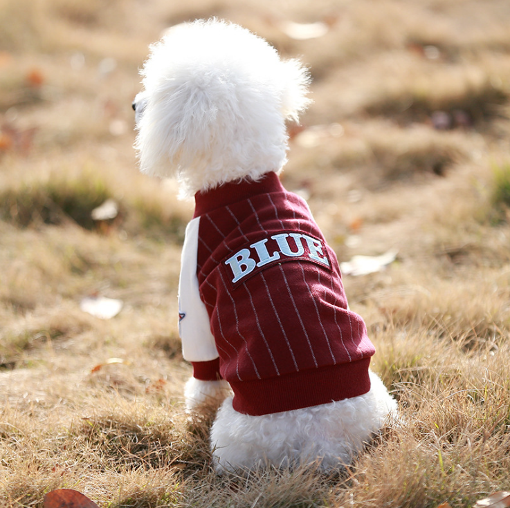 NEW DOG FASHION dog clothes sniff star shape all-i