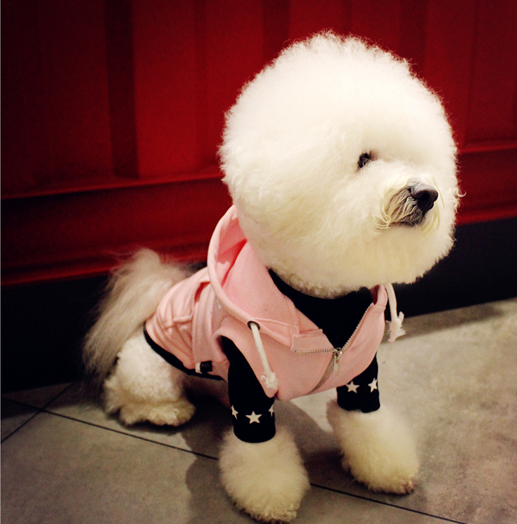 NEW DOG FASHION dog clothes sniff star shape all-i