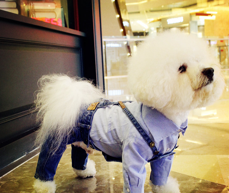 NEW DOG FASHION dog clothes sniff star shape all-i